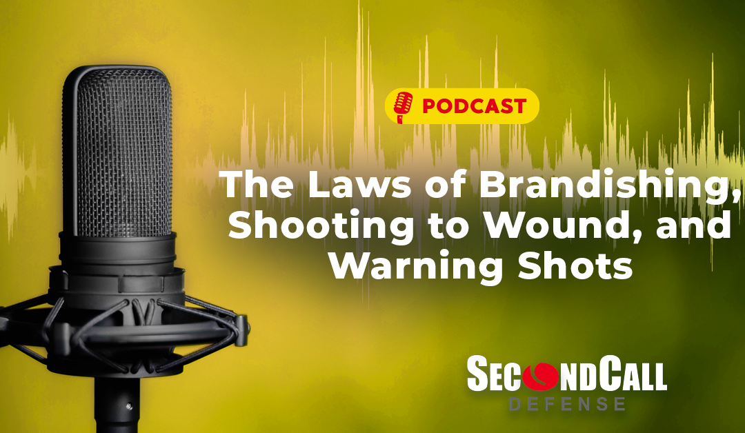 The Laws of Brandishing, Shooting to Wound, and Warning Shots