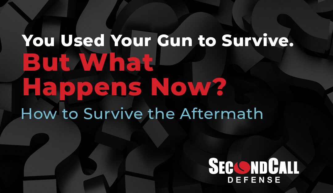 You Used Your Gun to Survive. But What Happens Now?