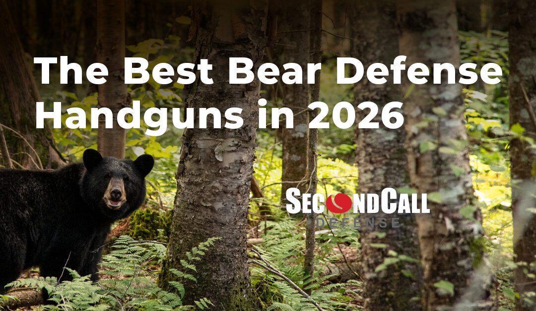 Best Handguns for Bear Defense 2026​