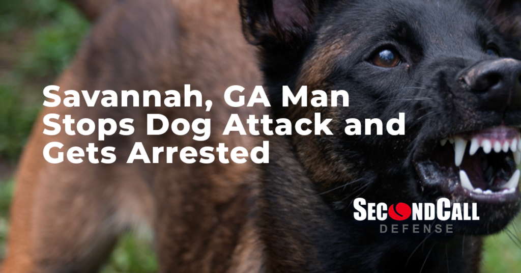 DogAttackSCD