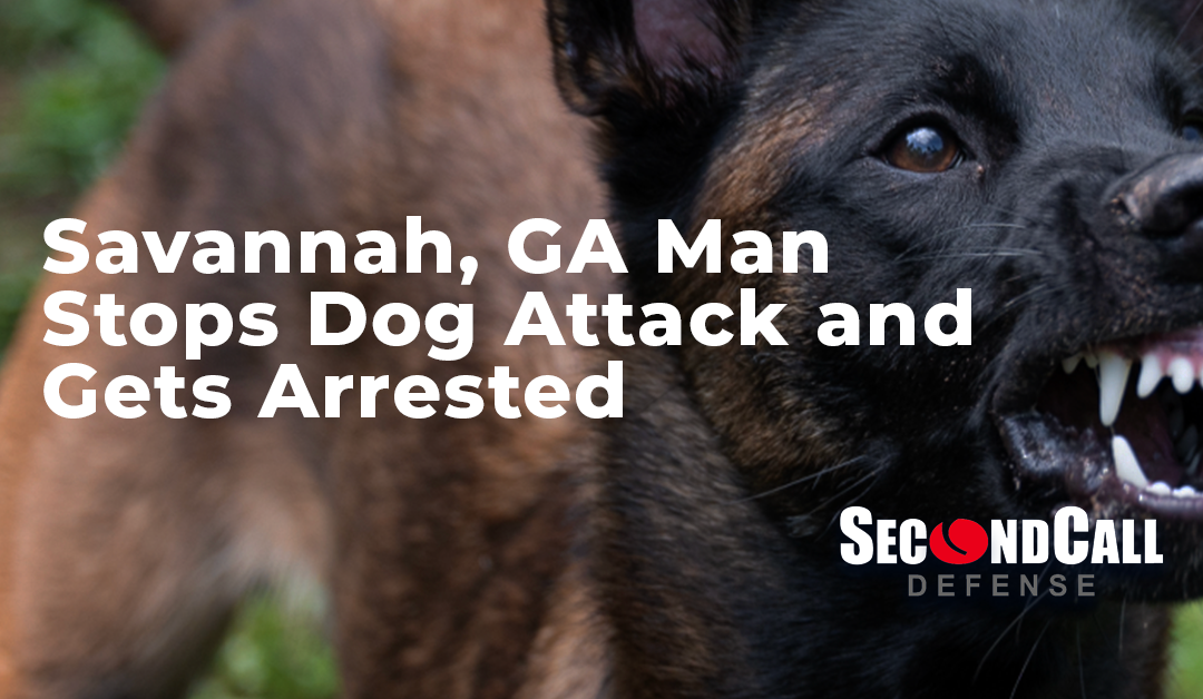 Savannah, Georgia Man Stops Dog Attack, Gets Arrested
